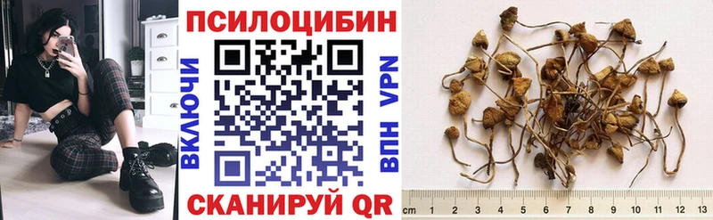 купить наркотик  Строитель  Галлюциногенные грибы мицелий 